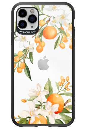 Amalfi Orange 2.0 - Apple iPhone 11 Pro Max