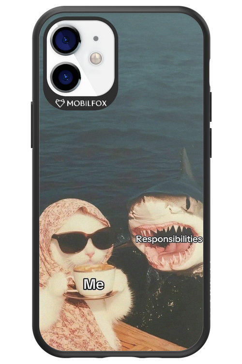 Responsibilities - Apple iPhone 12 Mini