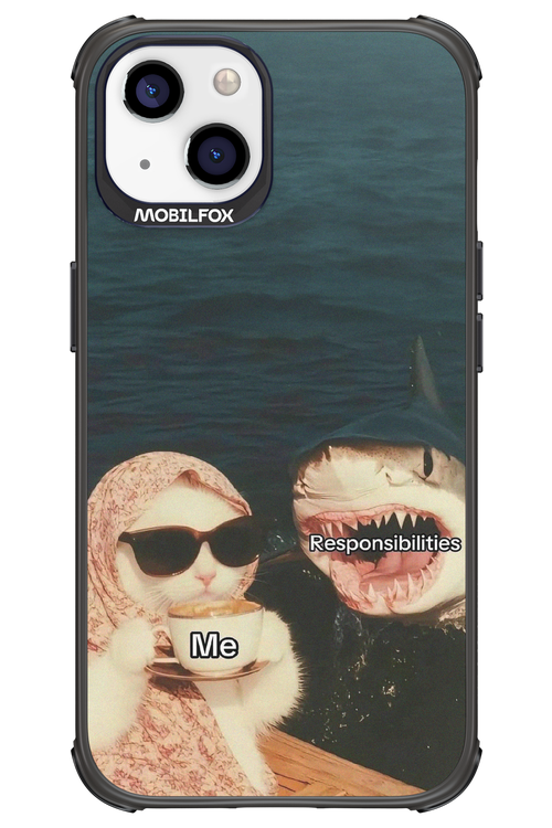 Responsibilities - Apple iPhone 13