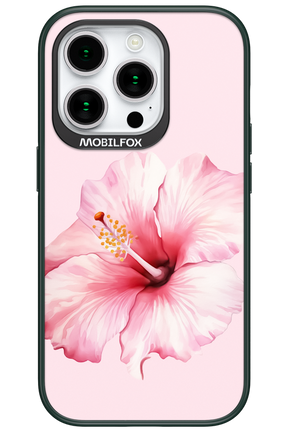 HibiPinky - Apple iPhone 15 Pro