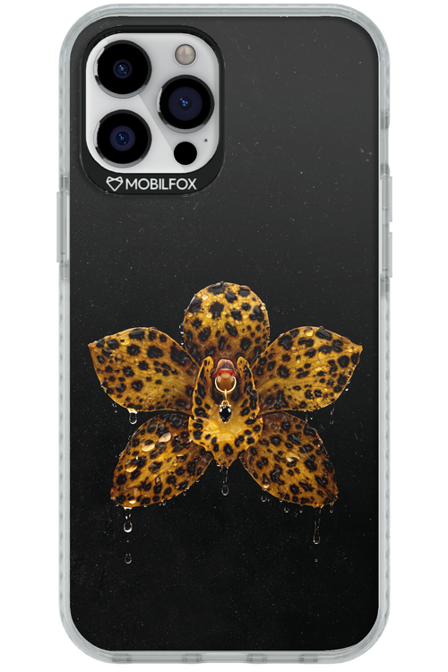 Wet & Wild 2.0 - Apple iPhone 12 Pro Max