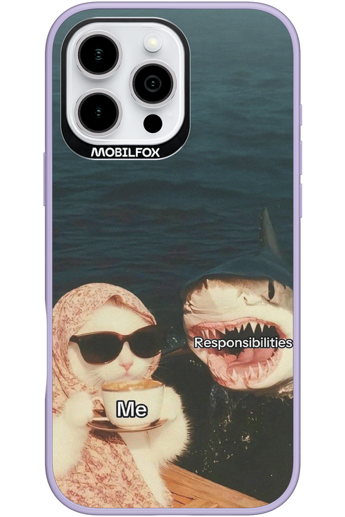 Responsibilities - Apple iPhone 16 Pro Max
