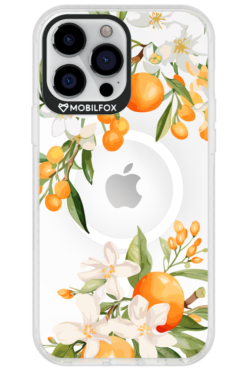 Amalfi Orange - Apple iPhone 13 Pro Max